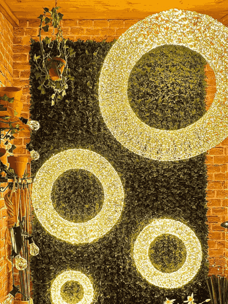 decorazioni-luminose-lotti
