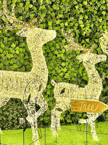 rennes-de-noel-pour-exterieur